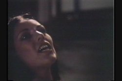 'Sweet Young Foxes' screenshot nº 29