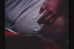 Captura de 'Sex World' nº 42