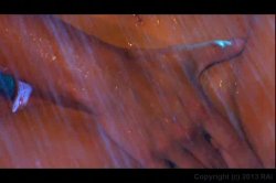 'Dripping Inside' screenshot nº 128