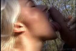 'Euro Angels Hardball 12: A Multiple of Sins' screenshot nº 73