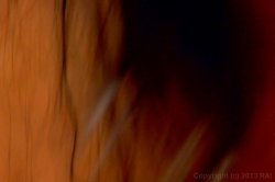 Captura de 'Lesbian Spotlight: Jayden James' nº 27