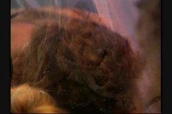 Captura de 'Rearview Ashlyn Gere' nº 114