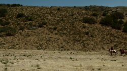 'Wanted' screenshot nº 25