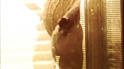 Captura de 'Rebecca's Nasty Girls 9' nº 3