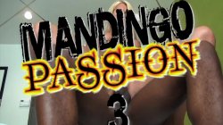 'Mandingo Passion 3' screenshot nº 1