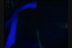 Captura de 'Spending the Night With Cassidey' nº 20