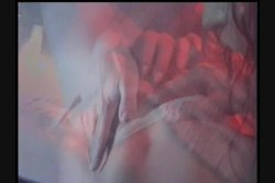 Captura de 'Heeeeere's Cheyenne' nº 63