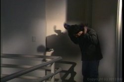 'Dances With Foxes' screenshot nº 56