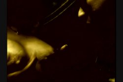 'Milk A Thon 9' screenshot nº 7