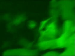 Captura de 'Can You Be A Pornstar? Episodes 1&2' nº 38