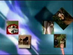 Captura de 'Can You Be A Pornstar? Episodes 1&2' nº 68