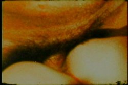 'Freaky Couples' screenshot nº 129