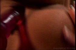 'Miss Strap On' screenshot nº 93