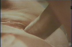 Captura de 'Cock Stars' nº 133
