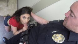 'Screw The Cops Vol. 4' screenshot nº 21