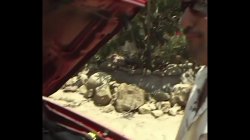 Captura de 'Dirty Nasty Porn Sluts 6' nº 6