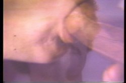'Annie Sprinkle Rides Again' screenshot nº 66