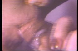 'Annie Sprinkle Rides Again' screenshot nº 67