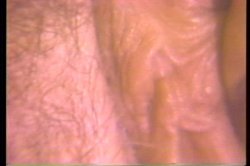 'Annie Sprinkle Rides Again' screenshot nº 112