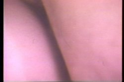 'Annie Sprinkle Rides Again' screenshot nº 138