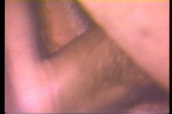 'Annie Sprinkle Rides Again' screenshot nº 140