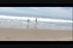 Captura de 'Bree's Beach Party 3' nº 44