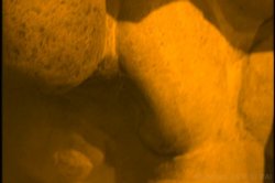 'No Man's Land 29' screenshot nº 3
