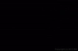 'Afro American Hair Pie 7' screenshot nº 59
