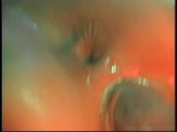 Captura de 'Star 69: Double Penetration' nº 33