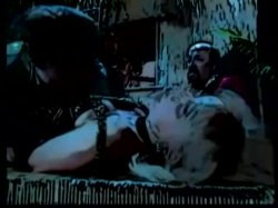 'Ginger's Island' screenshot nº 107