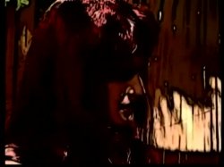 'Ginger's Island' screenshot nº 14