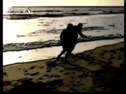 'Ginger's Island' screenshot nº 2