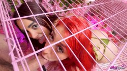 'Pink Room Ep. 33 Horny Latina Sluts Zoey & Jessica Love Cock' screenshot nº 35