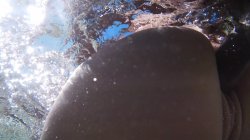 Captura de 'Booty Movie Vol. 8, The' nº 124