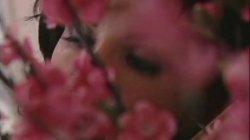 Captura de 'Bud Lee's Sex Fest 5' nº 65