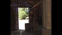 'Inside Porn 15' screenshot nº 6