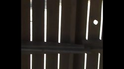 'Inside Porn 15' screenshot nº 62