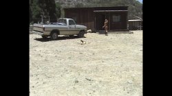 'Inside Porn 15' screenshot nº 86