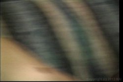 Captura de 'Black Dirty Debutantes 3' nº 134