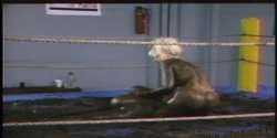 Captura de 'Wrestling Fetish Lesbians 2' nº 114