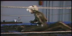 Captura de 'Wrestling Fetish Lesbians 2' nº 137
