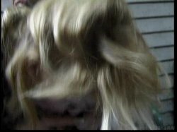 'Trannie World XXX Tour 2' screenshot nº 113