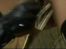 'Reign of Rubber' screenshot nº 14