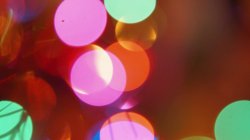 Captura de 'Lesbian Christmas Story, A' nº 1