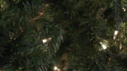 Captura de 'Lesbian Christmas Story, A' nº 116