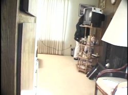 'Barefoot and Pregnant 7' screenshot nº 66