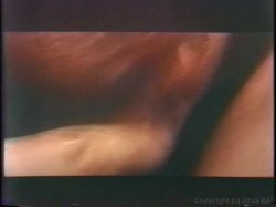 'Blondes Of The 70's' screenshot nº 35