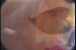 'I Swallow 4' screenshot nº 63