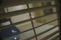 Captura de 'Video Adventures of Peeping Tom 11' nº 42