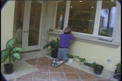 Captura de 'Video Adventures of Peeping Tom 11' nº 50